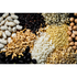 JEJU FARM - Premium 17-Grain Mix 2lbs