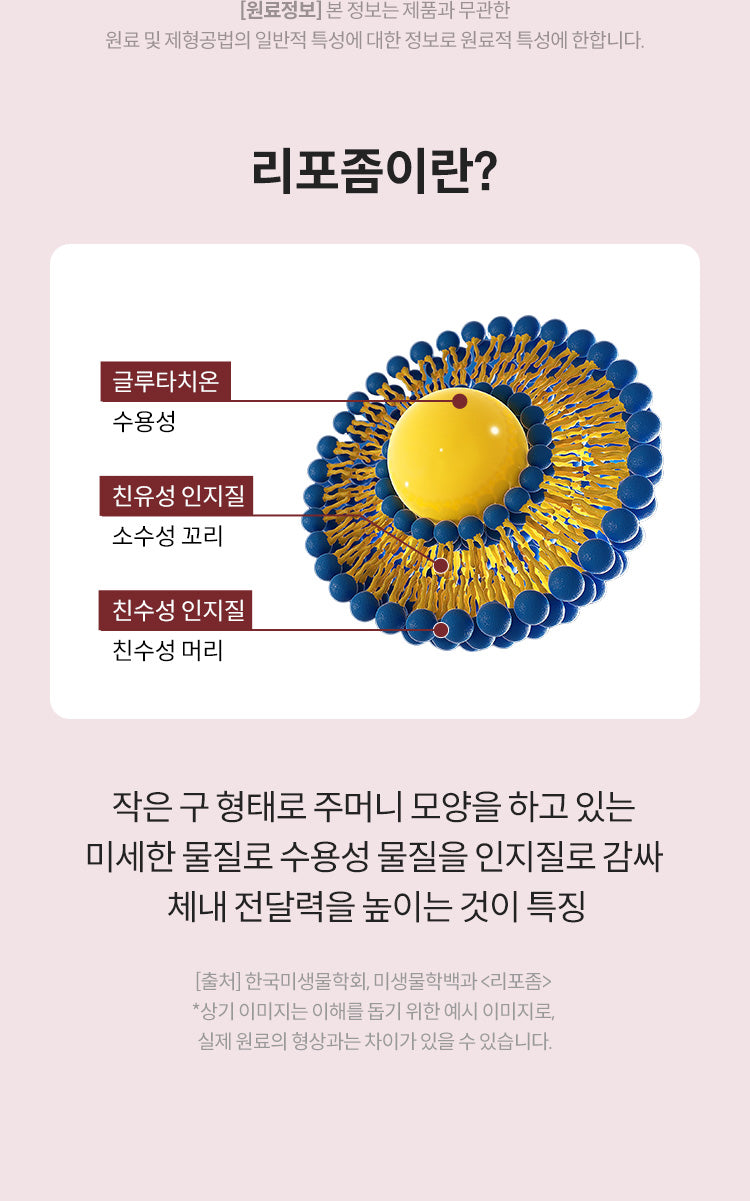 ESTHER FORMULA Liposomal Glutathione Strips (284mg×30) Glutathione Direct