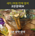 BOSTINA Season 2 The Plus Hair Dyeing Set