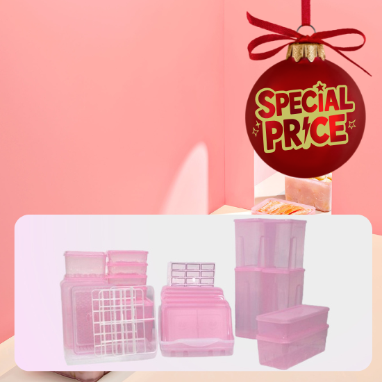 C. [THX SOYOON] Season4 Freezer Container Expert Set (Pink  Color)