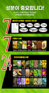 B. BOSTINA Season 2 The Plus Hair Dyeing Set
