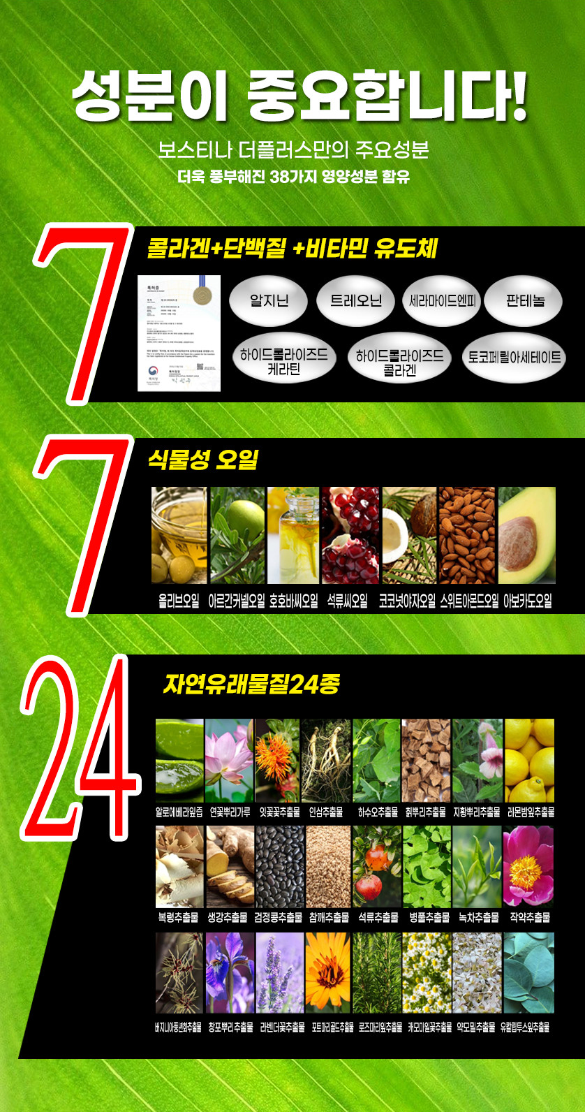BOSTINA Season 2 The Plus Hair Dyeing Set