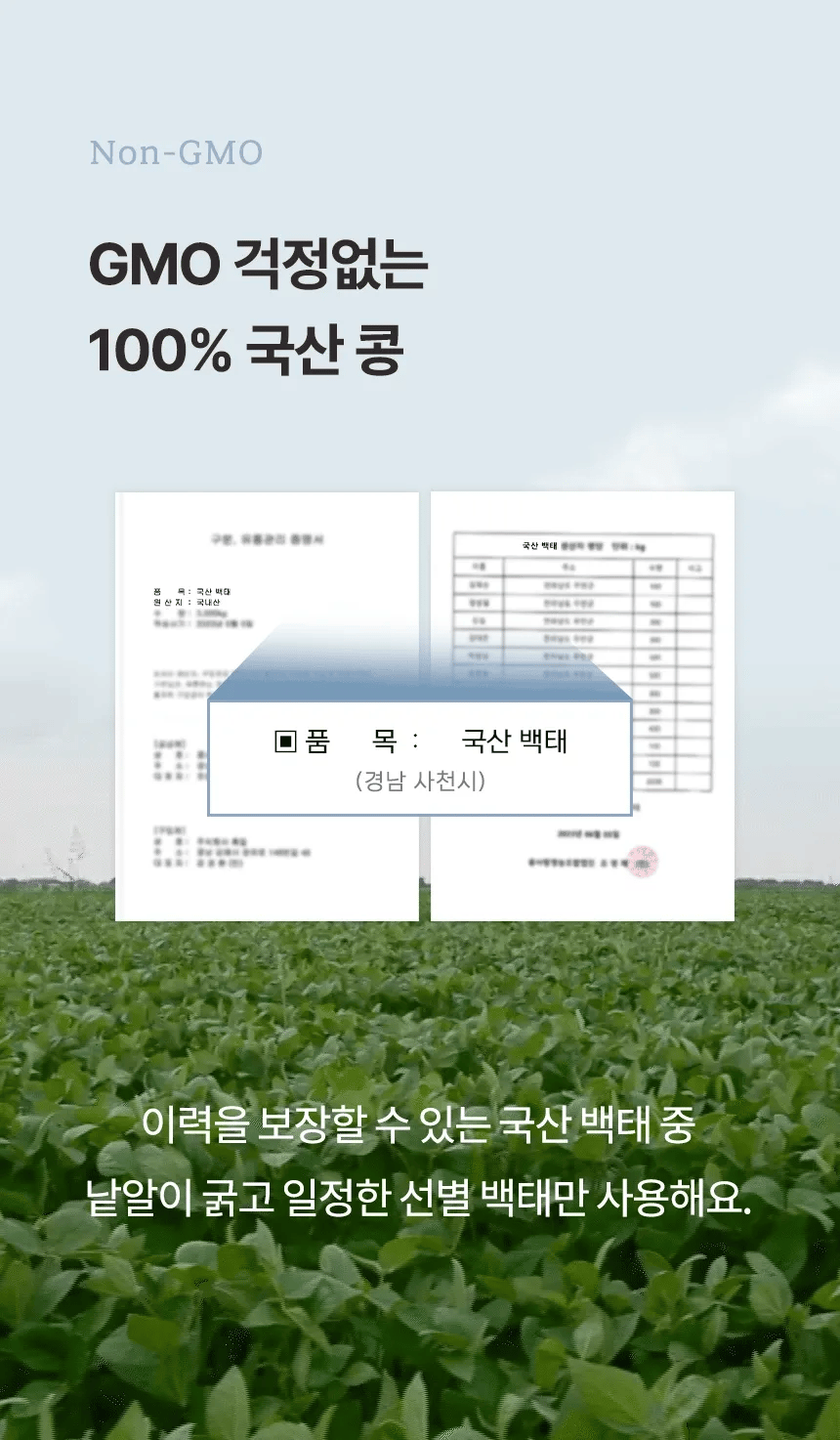B. [garumaster] Fresh Black Soy Milk SEORITAE 99.3+Fresh Soy Milk 18 Roasted Grain(Total 4 Packs)