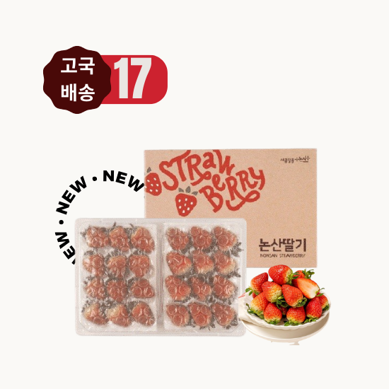 [2026 고국배송] 17. 논산 설향 딸기 800g