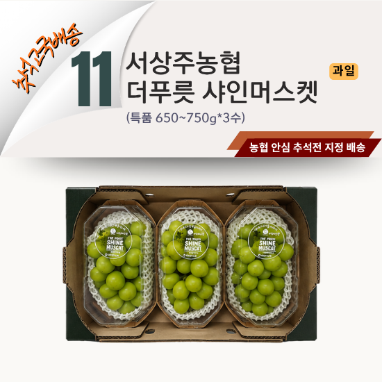 [2026 고국배송] 11. 서상주농협 더푸릇 샤인머스켓