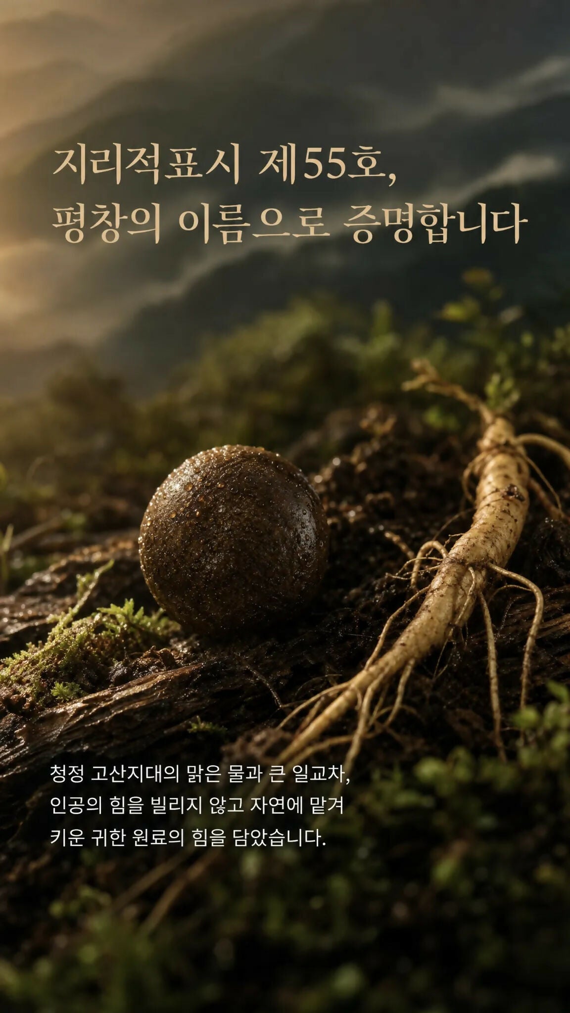 C. 공진단 – 평창 산양삼환 10환