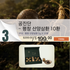 C. 공진단 – 평창 산양삼환 10환