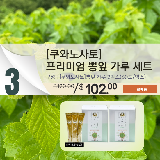 C. [쿠와노사토] 프리미엄 일본산 100% 뽕잎  차 스틱 (120개입)
