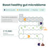 A. [MOMSTAMIN] 2'- FL Pre & Probiotics Premium 5 Months Supply (4+1) + Gift