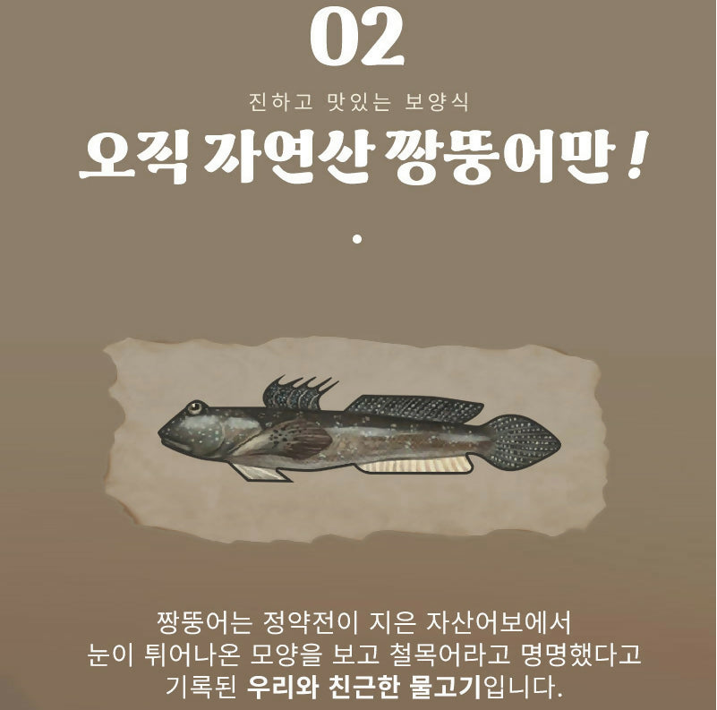 B. Eomjine Premium Mudskipper Fish Soup 450g (Buy 5, Get 1 Free)