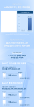 D. [Miba] Big Cushion Season2 +[MIBA] Ion Calcium Calamine Tone Up Sun Cushion