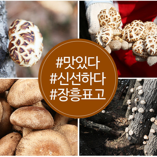 100% Korean Jangheung Shiitake Mushroom Powder 100g