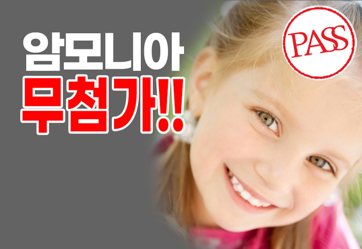 B. BOSTINA Season 2 The Plus Hair Dyeing Set