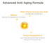 C. [SUNGBOON EDITOR] Deep Collagen Power Boosting Mask 7 Box