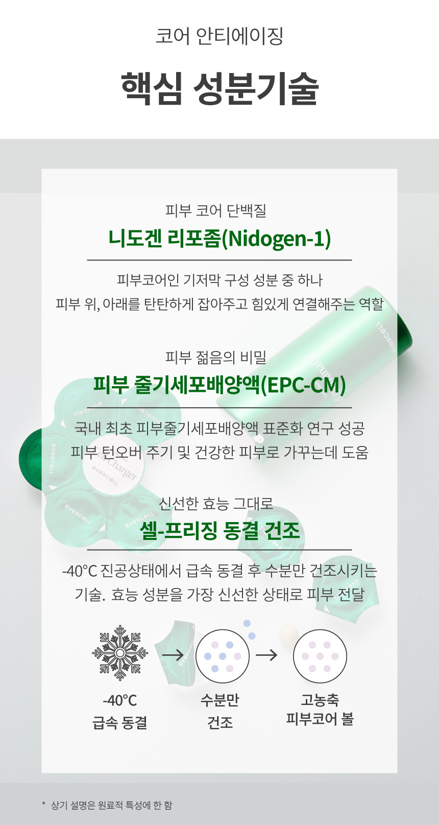 Evercell Cell Vital Cell Program (에버셀 셀 바이탈 셀 프로그램)