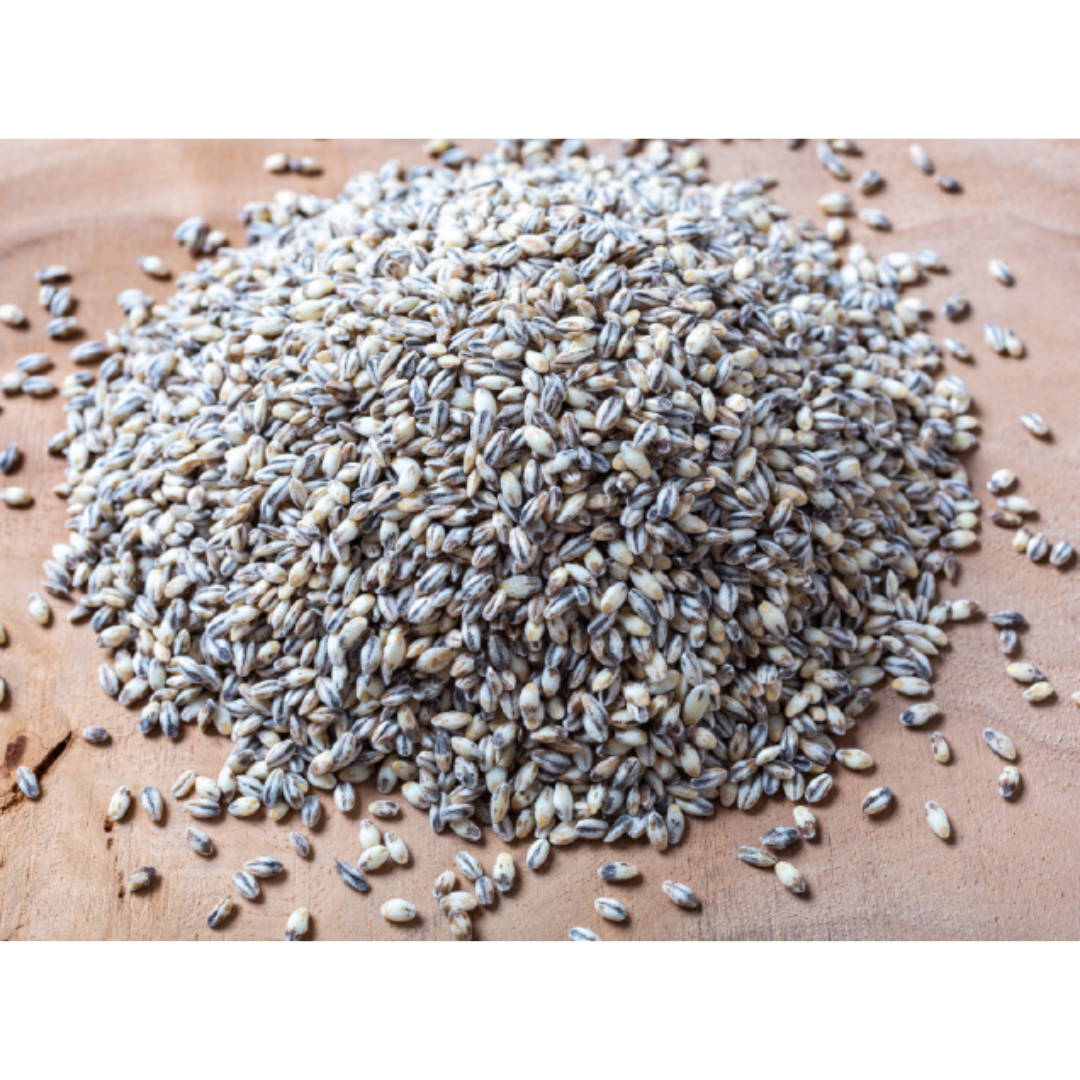 JEJU FARM - Black Glutinous Barley 2lbs