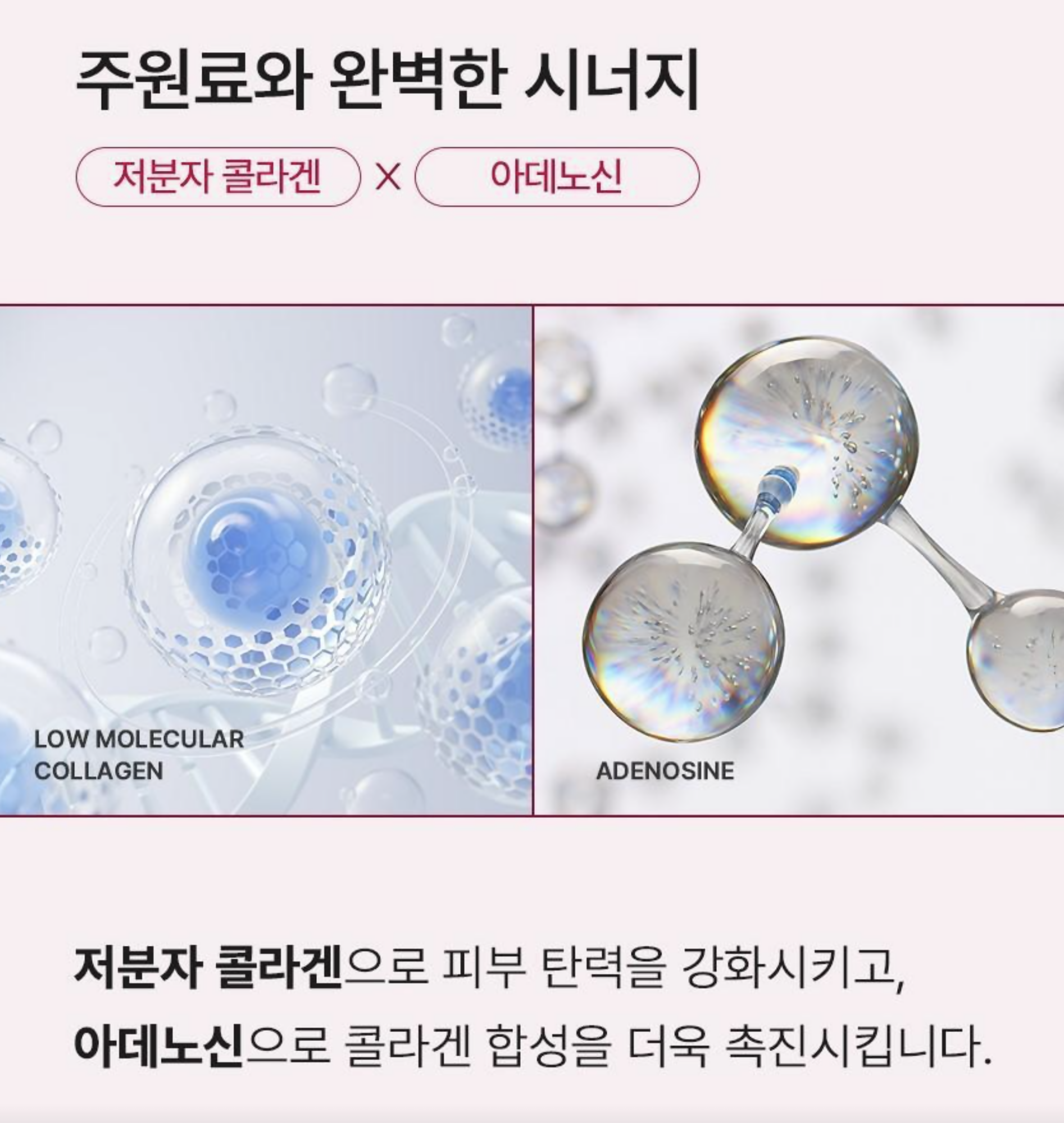 BEAUND NECERA DUO (목주름 개선 세트)