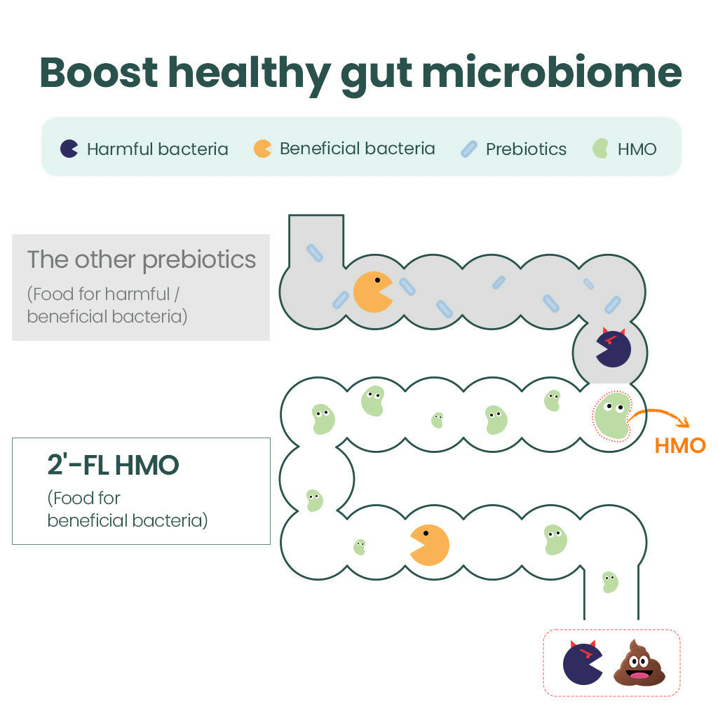 B. [MOMSTAMIN] 2'-FL HMO Pre & Probiotics Powder Stick, Premium (3-Months Supply)