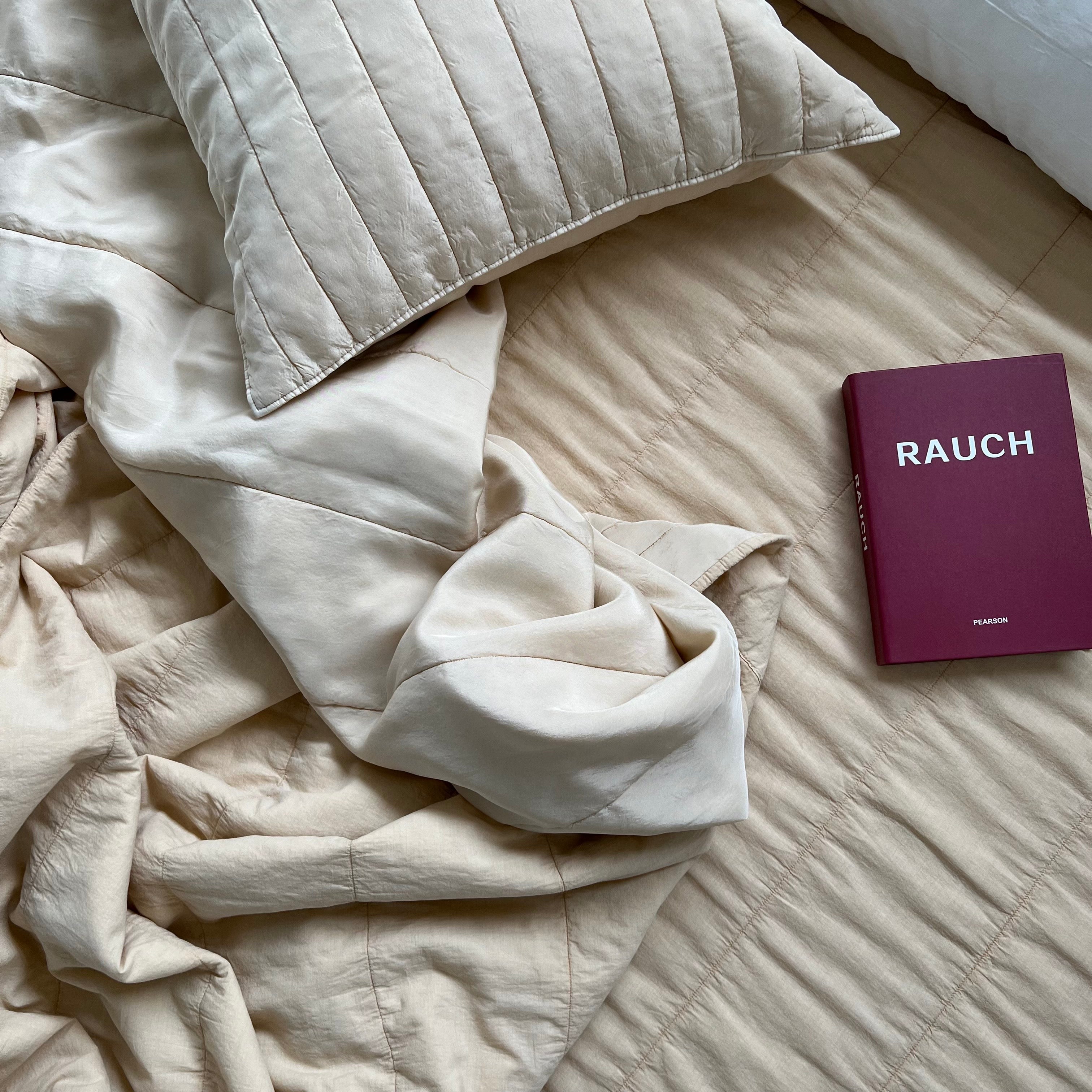 A. Ice-Cream Charr Punggi Viscose Rayon Bedding Set (Q)