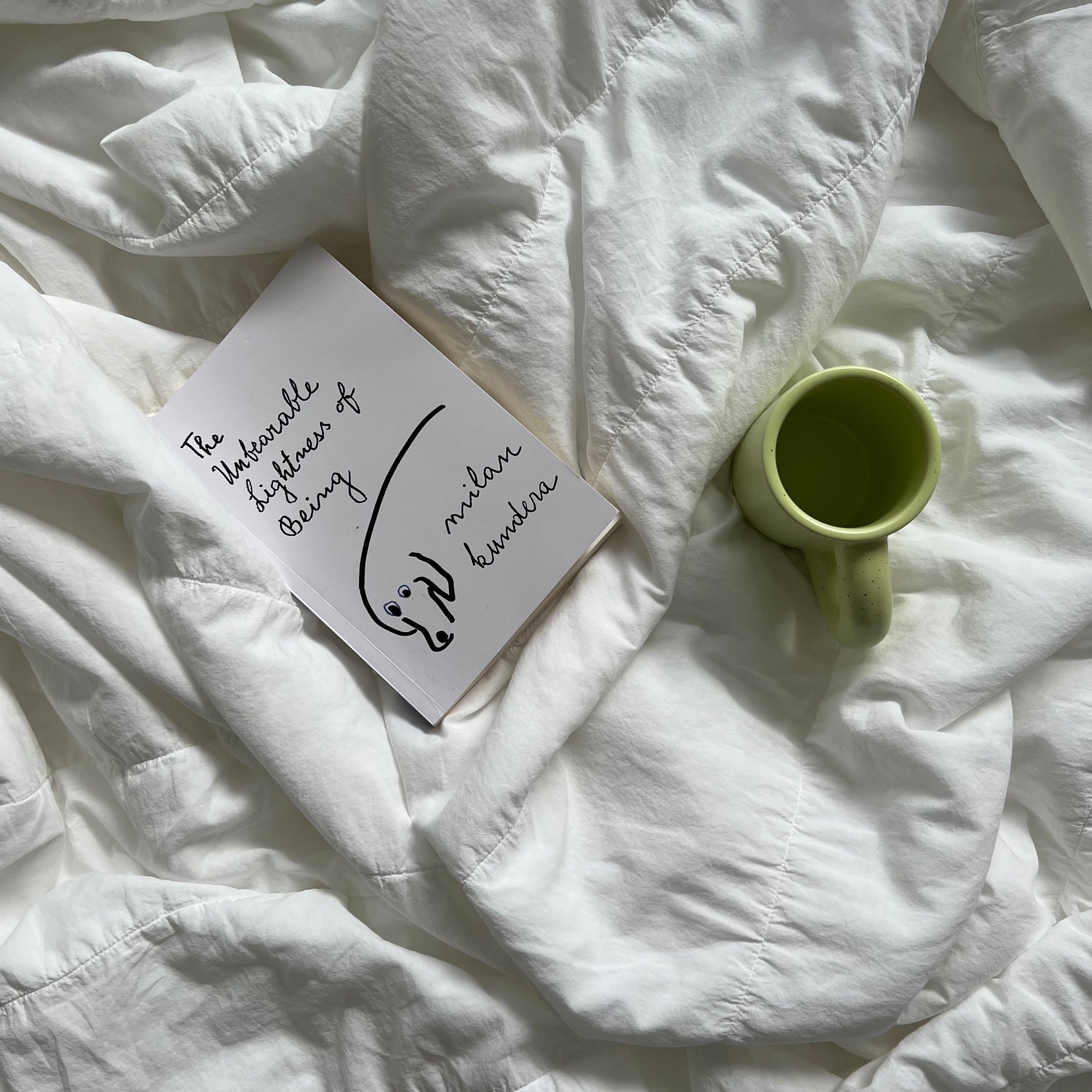 A. Ice-Cream Charr Punggi Viscose Rayon Bedding Set (Q)