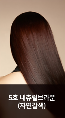 B. BOSTINA Season 2 The Plus Hair Dyeing Set