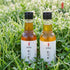 A. [ChoiSeokdang] Cold-Pressed Sesame Oil and Perilla Oil Set