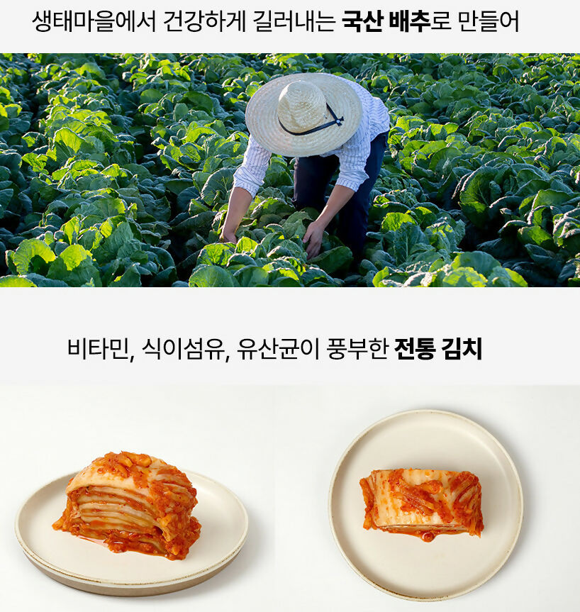 B. Jirisan Fermented Black Soybean Rice Pizza 675g (1 Box of 3 Pieces) * 3 Boxes