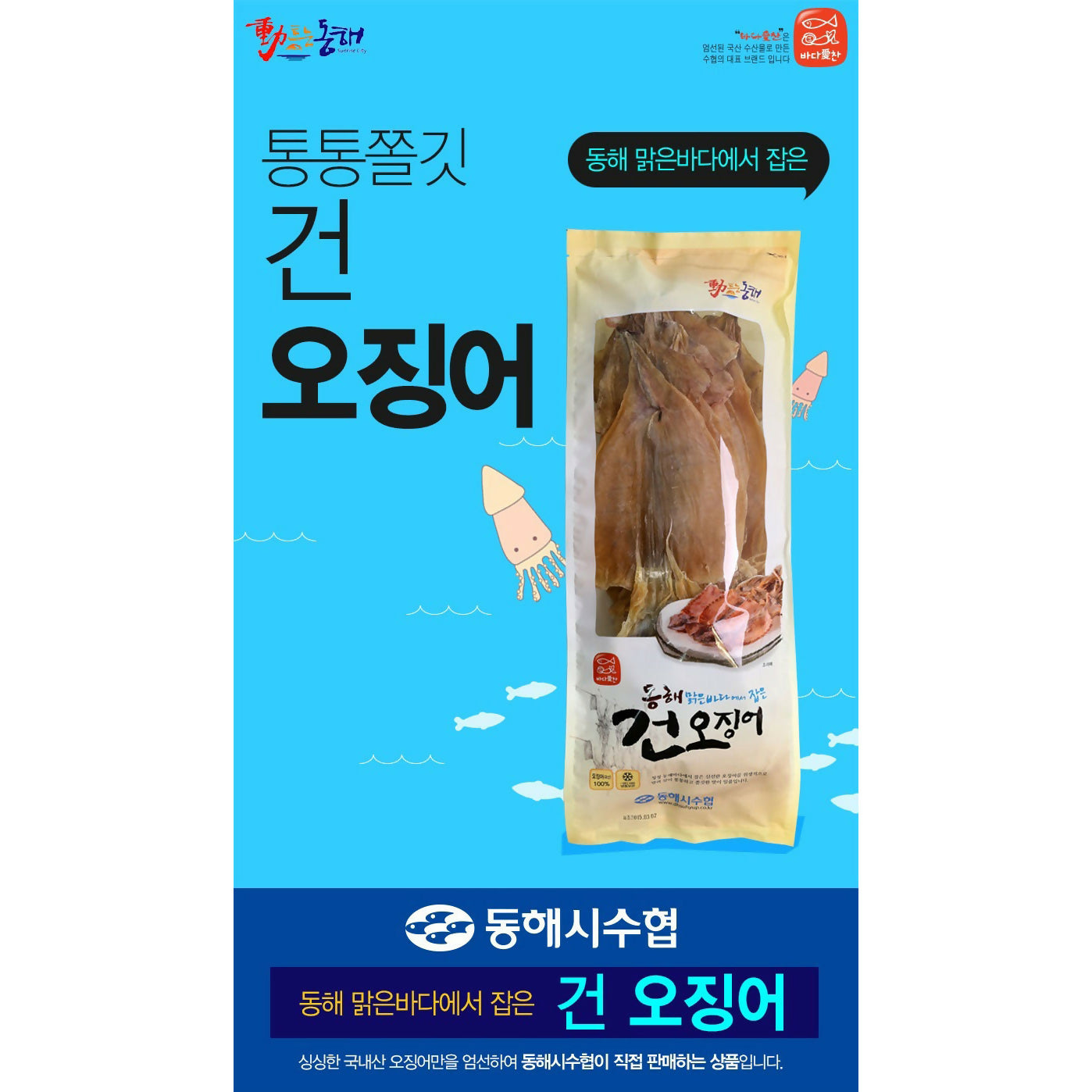 한국산 통통 쫄깃 건오징어 (10 미)