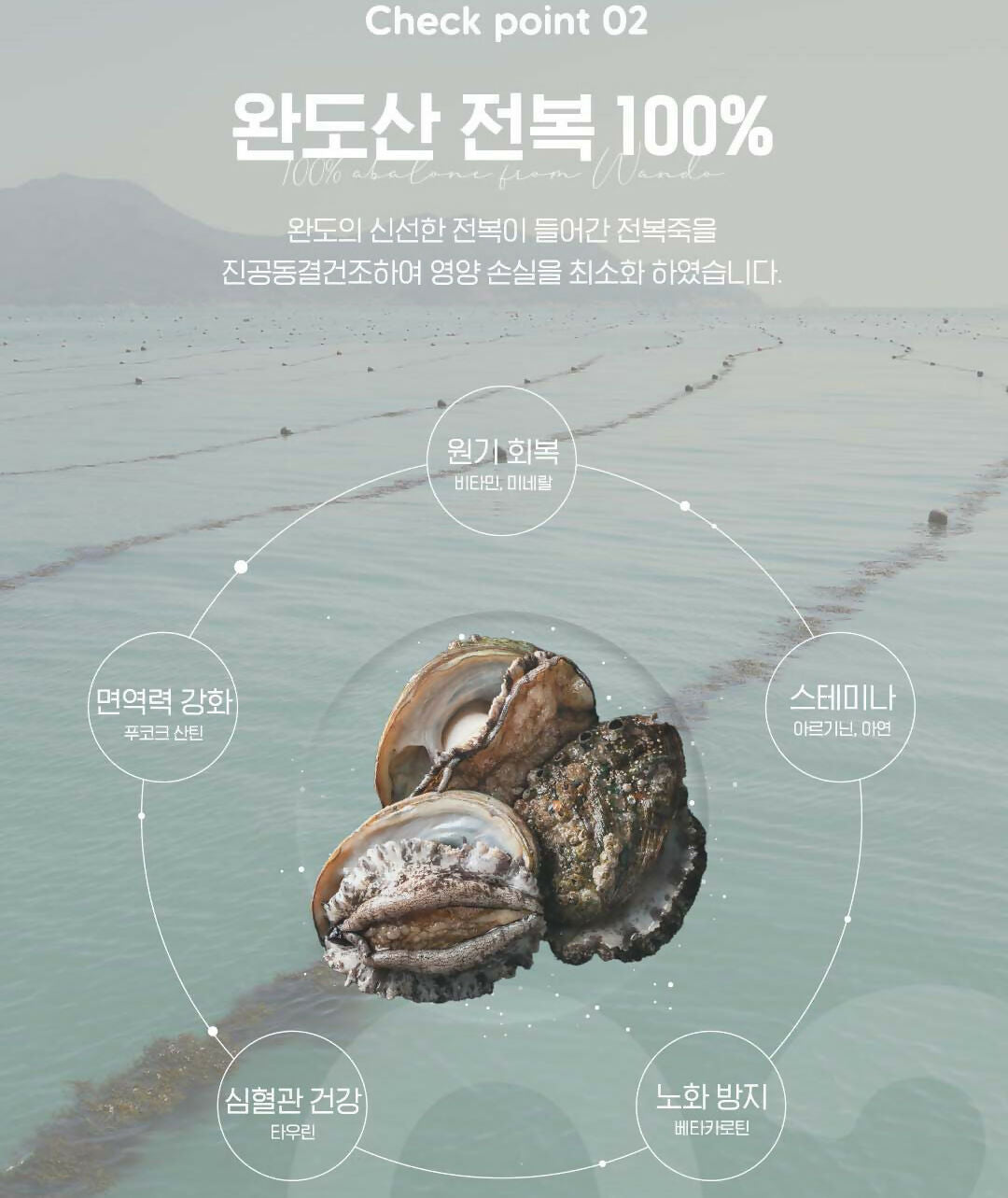 C. Wando Abalone Porridge 45g (1 Box of 5 Packs) * 3 Boxes