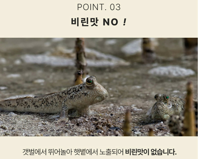 B. Eomjine Premium Mudskipper Fish Soup 450g (Buy 5, Get 1 Free)