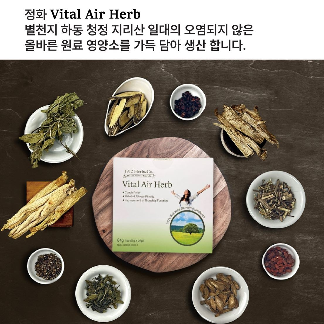 바이탈 에어 허브