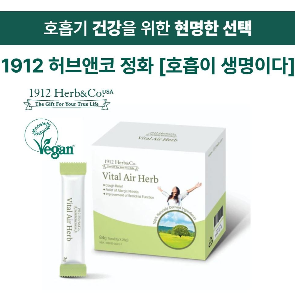 바이탈 에어 허브
