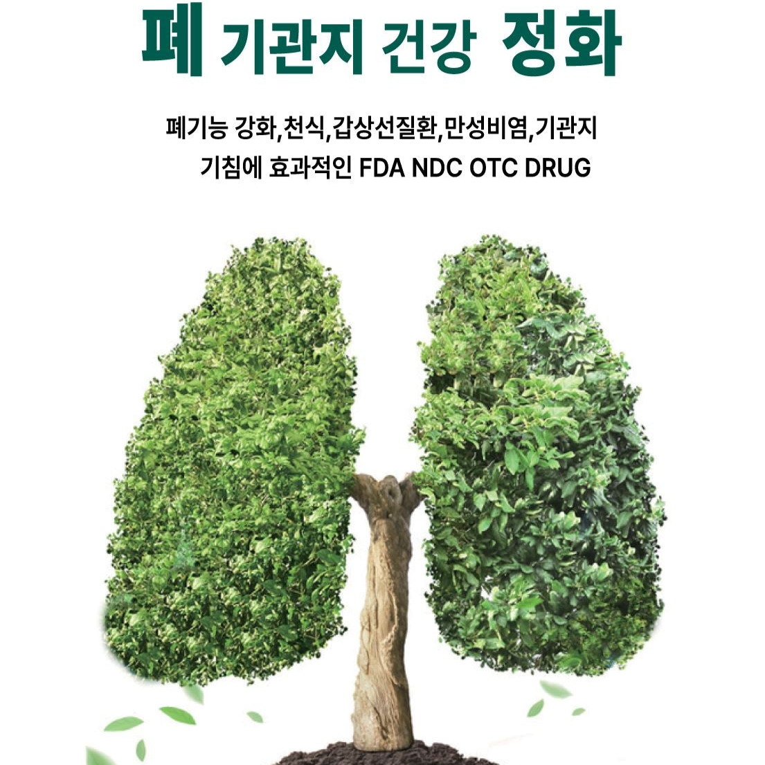 바이탈 에어 허브