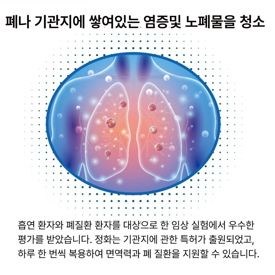 바이탈 에어 허브