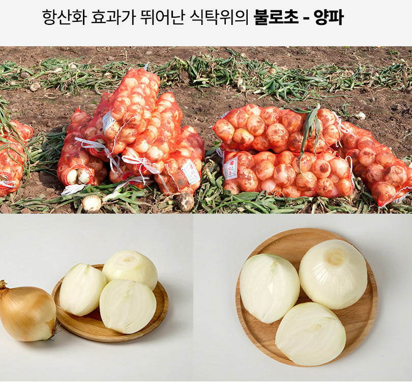 B. Jirisan Fermented Black Soybean Rice Pizza 675g (1 Box of 3 Pieces) * 3 Boxes