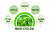 Maesil Plus ( Undiluted plum extract ) - 700ml