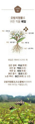 A. 봉평 메밀국수 세트 6팩 - 24인분