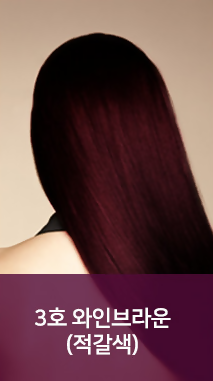 BOSTINA Season 2 The Plus Hair Dyeing Set