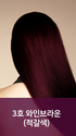 BOSTINA Season 2 The Plus Hair Dyeing Set
