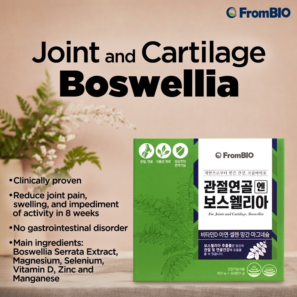[FROMBIO] BOSWELLIA JOINT AND CARTILAGE