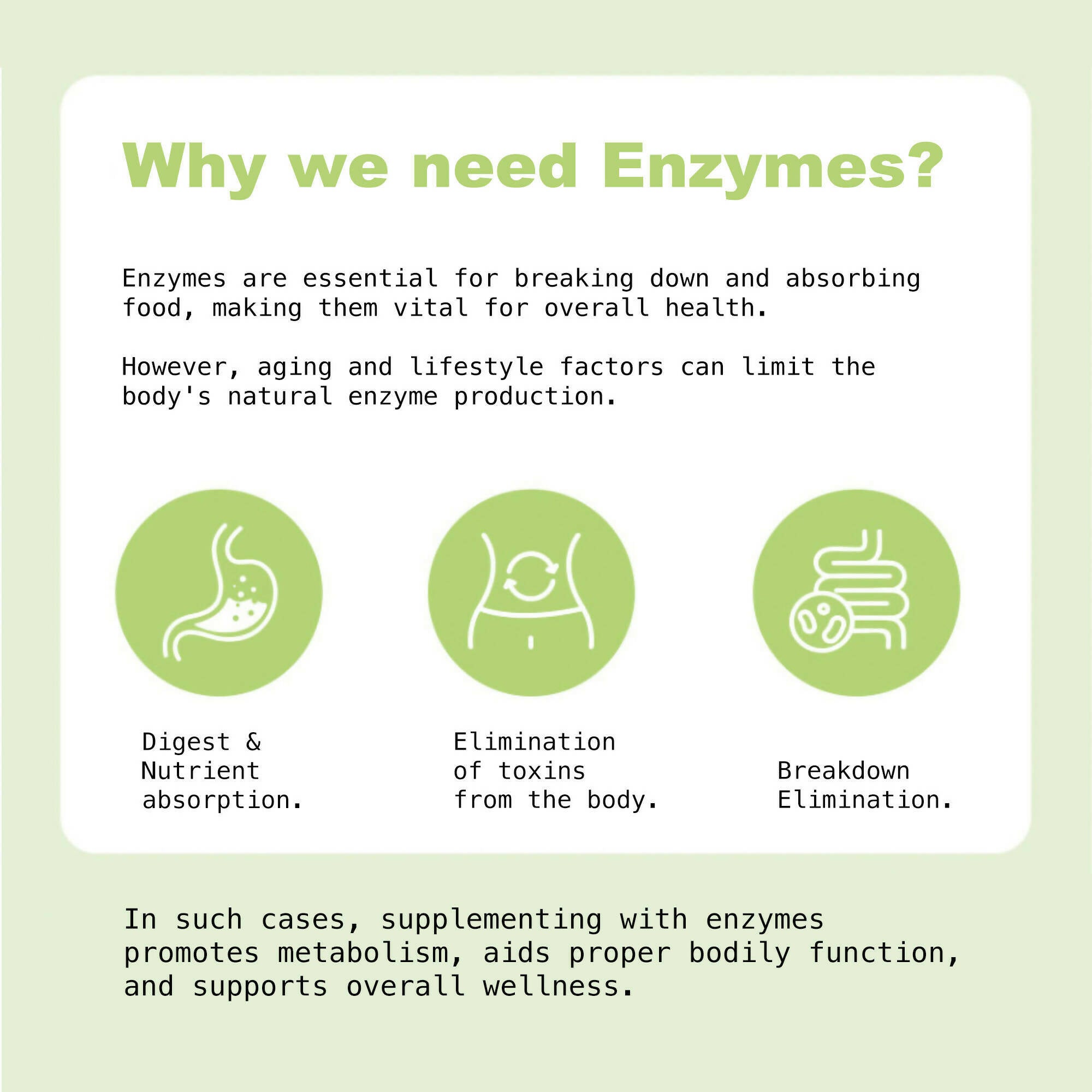 오!마이효소 칸탈로프 멜론맛 OH! MY ENZYME + PROBIOTICS ALL-IN-ONE 3 BOXES SET