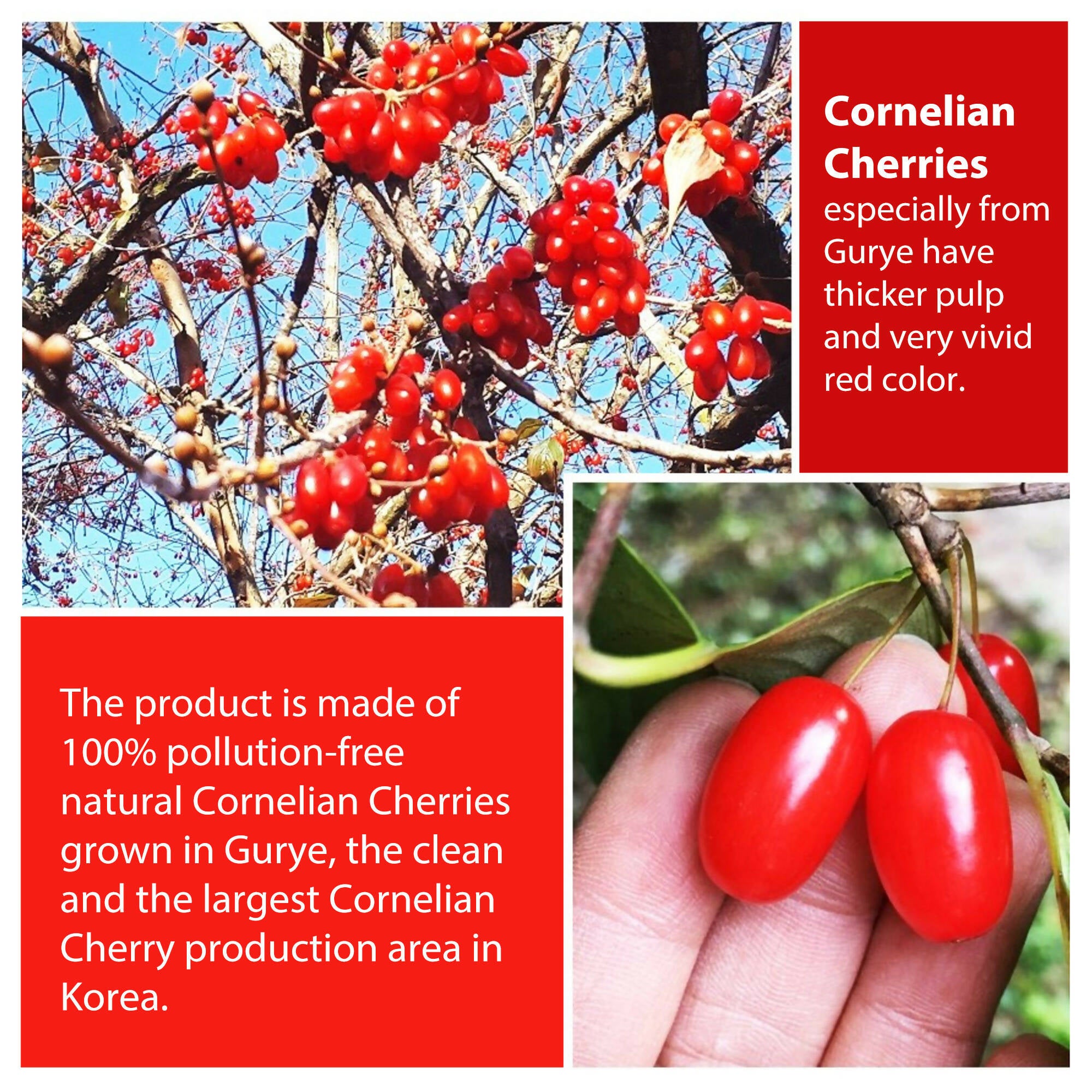 Freenong Natural Dried Cornelian Cherry Extract Liquid - 지리산 산수유 마을 프리농 산수유즙 선물세트 (30포)