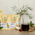 [2개 세트] Erom Pear & Balloon Flower Root Juice (이롬 배도라지) 30 pouches x 2 boxes