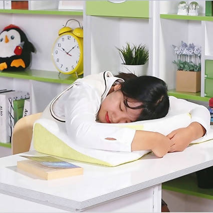 [Health Season] MYMI ZAMURO APPLE 4D PILLOW